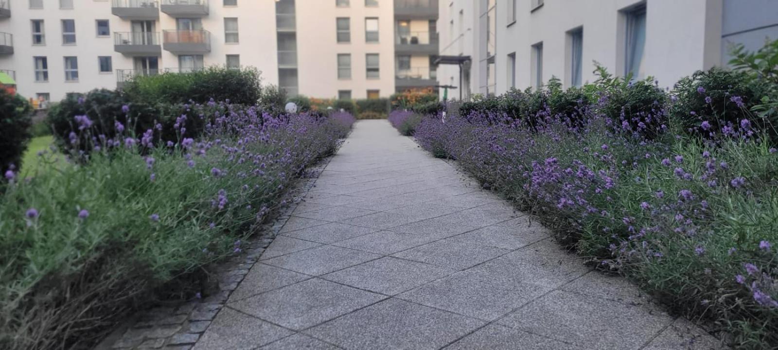 Riverside Garden Apartament Marina Danzig Exterior foto